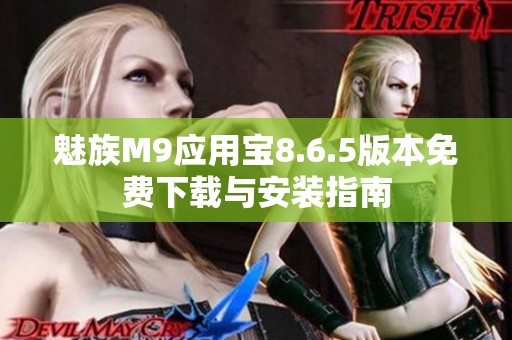 魅族M9应用宝8.6.5版本免费下载与安装指南