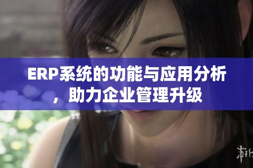 ERP系统的功能与应用分析，助力企业管理升级