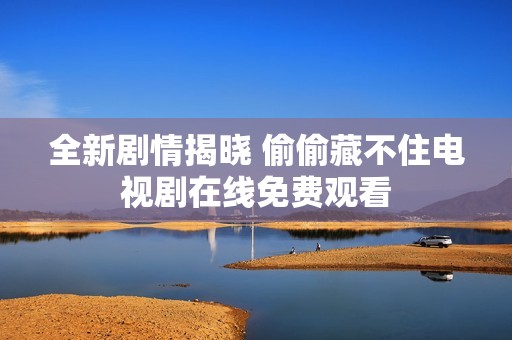 全新剧情揭晓 偷偷藏不住电视剧在线免费观看