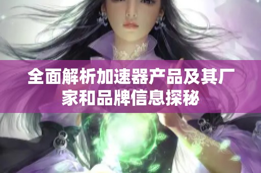 全面解析加速器产品及其厂家和品牌信息探秘