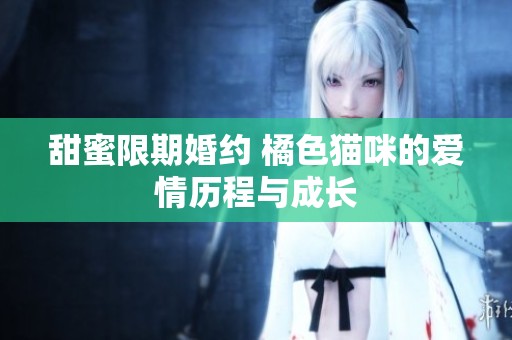 甜蜜限期婚约 橘色猫咪的爱情历程与成长