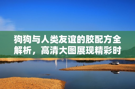 狗狗与人类友谊的胶配方全解析，高清大图展现精彩时刻