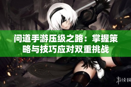问道手游压级之路：掌握策略与技巧应对双重挑战
