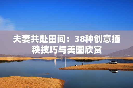 夫妻共赴田间：38种创意插秧技巧与美图欣赏