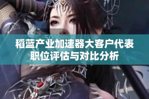 稻蓝产业加速器大客户代表职位评估与对比分析