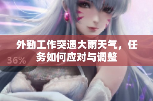 外勤工作突遇大雨天气，任务如何应对与调整