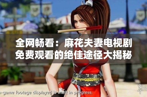 全网畅看：麻花夫妻电视剧免费观看的绝佳途径大揭秘