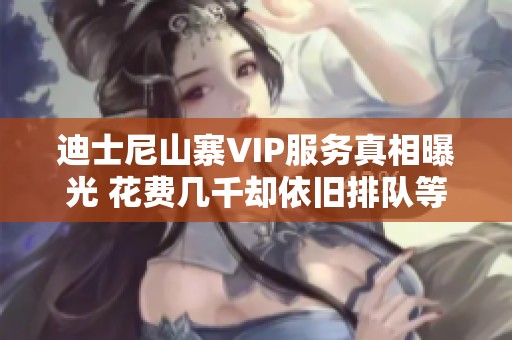 迪士尼山寨VIP服务真相曝光 花费几千却依旧排队等候