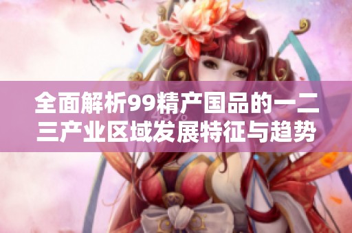 全面解析99精产国品的一二三产业区域发展特征与趋势