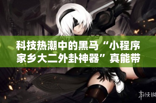 科技热潮中的黑马“小程序家乡大二外卦神器”真能带来好运吗