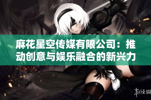 麻花星空传媒有限公司：推动创意与娱乐融合的新兴力量