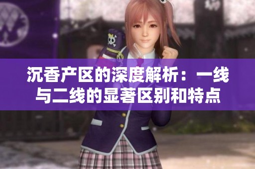 沉香产区的深度解析：一线与二线的显著区别和特点