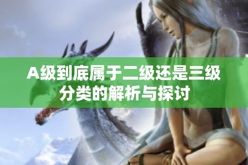 A级到底属于二级还是三级分类的解析与探讨