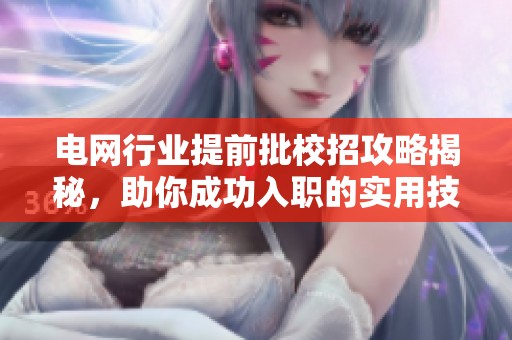 电网行业提前批校招攻略揭秘，助你成功入职的实用技巧！