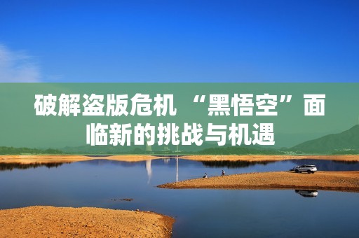 破解盗版危机 “黑悟空”面临新的挑战与机遇
