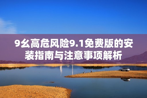 9幺高危风险9.1免费版的安装指南与注意事项解析