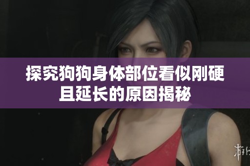 探究狗狗身体部位看似刚硬且延长的原因揭秘