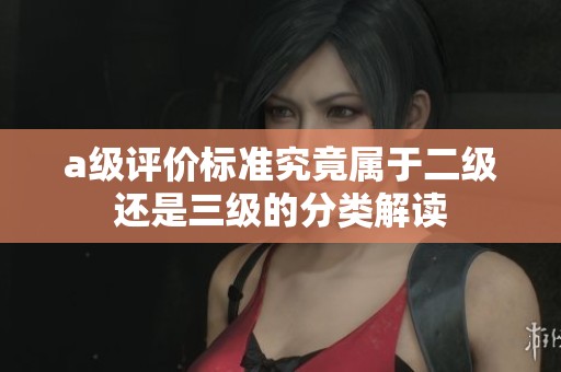 a级评价标准究竟属于二级还是三级的分类解读