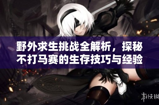 野外求生挑战全解析，探秘不打马赛的生存技巧与经验