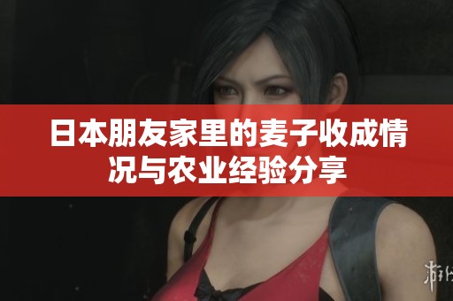 日本朋友家里的麦子收成情况与农业经验分享