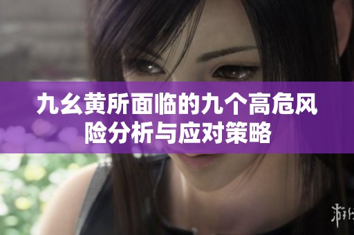 九幺黄所面临的九个高危风险分析与应对策略