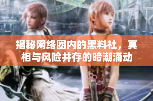 揭秘网络圈内的黑料社，真相与风险并存的暗潮涌动