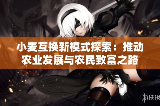 小麦互换新模式探索：推动农业发展与农民致富之路