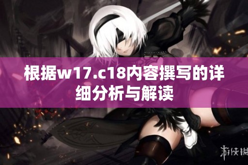 根据w17.c18内容撰写的详细分析与解读