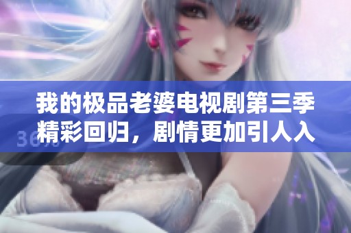我的极品老婆电视剧第三季精彩回归，剧情更加引人入胜