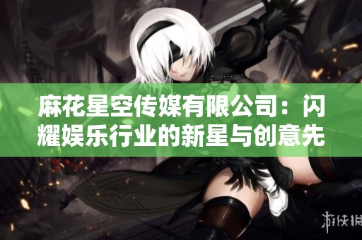 麻花星空传媒有限公司：闪耀娱乐行业的新星与创意先锋