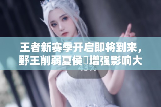 王者新赛季开启即将到来，野王削弱夏侯惇增强影响大战局