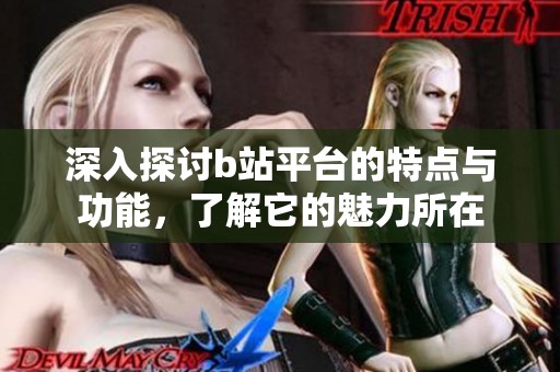 深入探讨b站平台的特点与功能，了解它的魅力所在