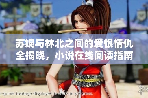 苏婉与林北之间的爱恨情仇全揭晓，小说在线阅读指南