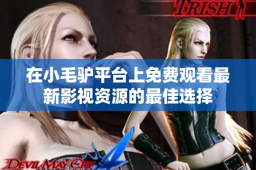 在小毛驴平台上免费观看最新影视资源的最佳选择