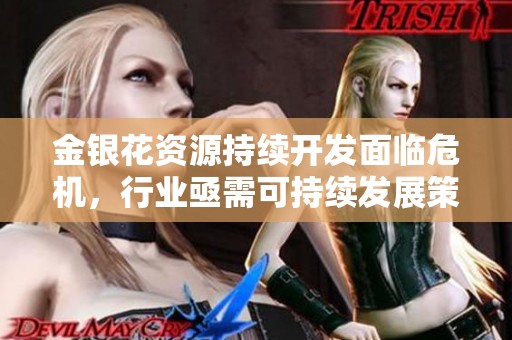 金银花资源持续开发面临危机，行业亟需可持续发展策略
