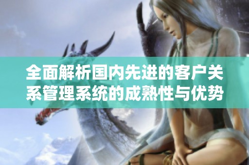 全面解析国内先进的客户关系管理系统的成熟性与优势