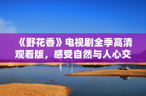 《野花香》电视剧全季高清观看版，感受自然与人心交织的故事