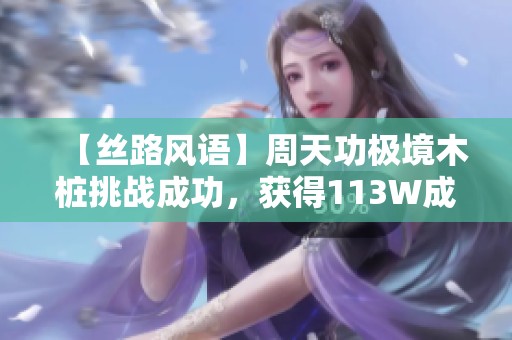 【丝路风语】周天功极境木桩挑战成功，获得113W成绩解析