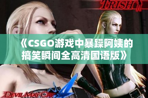 《CSGO游戏中暴躁阿姨的搞笑瞬间全高清国语版》