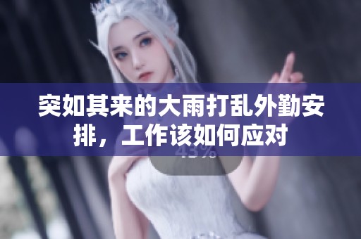 突如其来的大雨打乱外勤安排，工作该如何应对