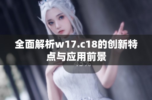 全面解析w17.c18的创新特点与应用前景