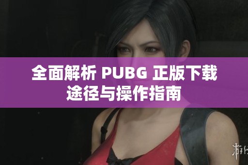全面解析 PUBG 正版下载途径与操作指南