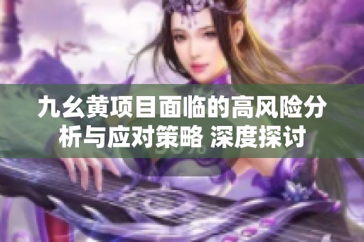 九幺黄项目面临的高风险分析与应对策略 深度探讨
