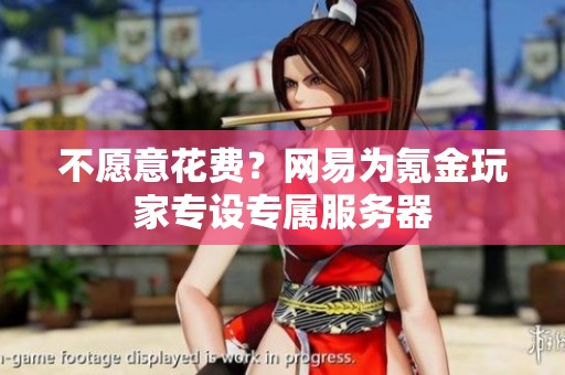 不愿意花费？网易为氪金玩家专设专属服务器