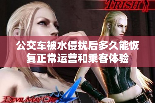 公交车被水侵扰后多久能恢复正常运营和乘客体验