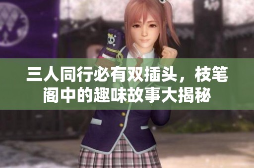 三人同行必有双插头，枝笔阁中的趣味故事大揭秘