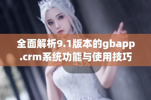 全面解析9.1版本的gbapp.crm系统功能与使用技巧