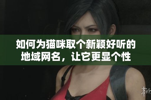 如何为猫咪取个新颖好听的地域网名，让它更显个性
