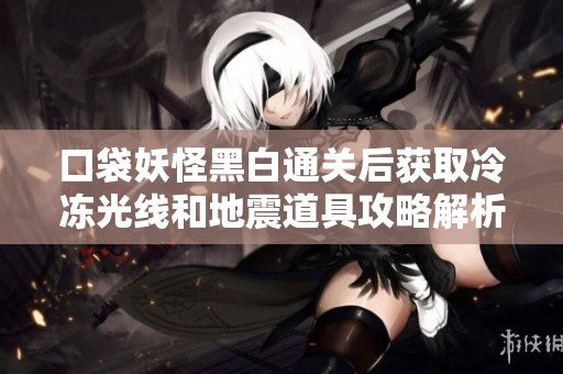 口袋妖怪黑白通关后获取冷冻光线和地震道具攻略解析