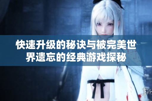 快速升级的秘诀与被完美世界遗忘的经典游戏探秘